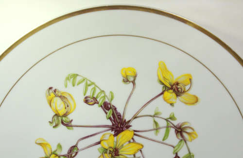 Langenthal Suisse Plate `Cassia Abbreviata` Aquerelle by Elise Buitendag