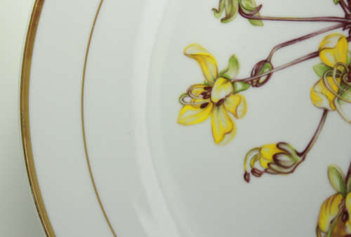 Langenthal Suisse Plate `Cassia Abbreviata` Aquerelle by Elise Buitendag