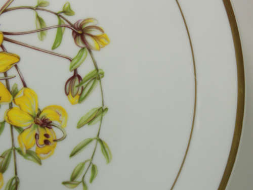 Langenthal Suisse Plate `Cassia Abbreviata` Aquerelle by Elise Buitendag