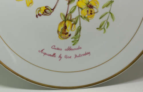 Langenthal Suisse Plate `Cassia Abbreviata` Aquerelle by Elise Buitendag