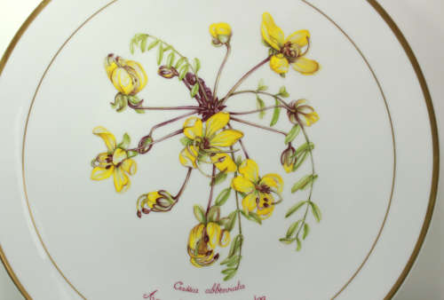 Langenthal Suisse Plate `Cassia Abbreviata` Aquerelle by Elise Buitendag