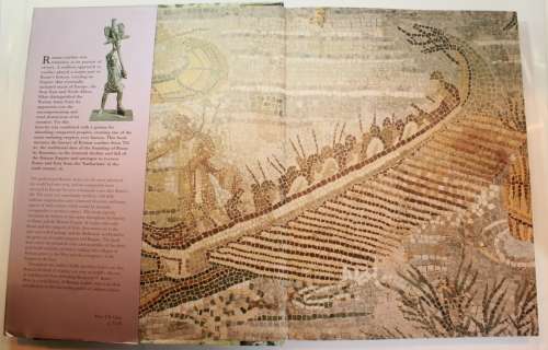 Roman Warfare by Adrian Goldsworthy Hardcover Book