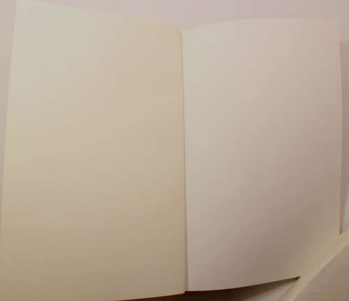 When You Are Mine by Michael Robotham Softcover Book