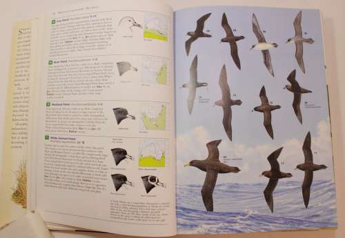 Field Guide to the Birds Of Australia by Simpson & Day Softcover Book