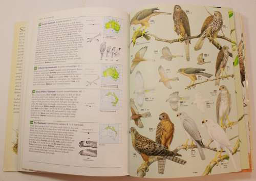 Field Guide to the Birds Of Australia by Simpson & Day Softcover Book