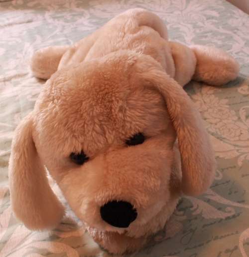 Decorative White Soft Toy Dog for the Bedroom