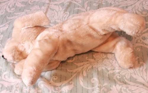 Decorative White Soft Toy Dog for the Bedroom