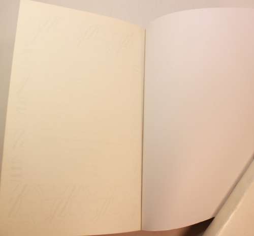 The Dirty South by John Connolly Softcover Book