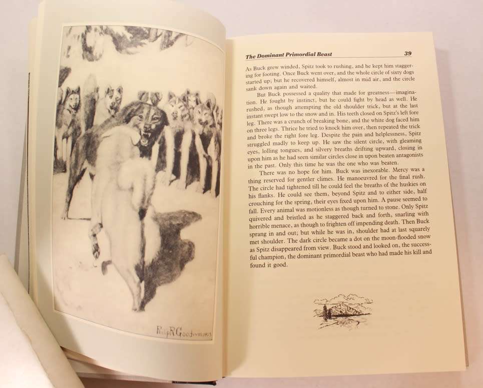 The Call Of The Wild and White Fang by Jack London Hardcover Book