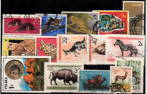 THEMATIC ANIMALS MIXED LOT 2 SCANS