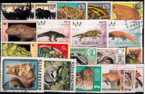 THEMATIC ANIMALS MIXED LOT 4 SCANS