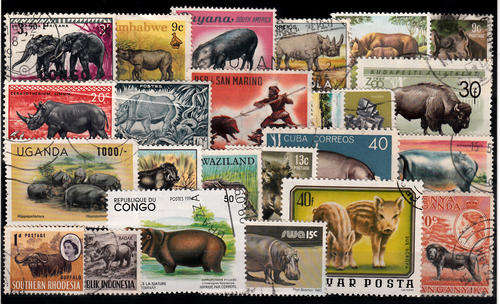 THEMATIC ANIMALS MIXED LOT 5 SCANS