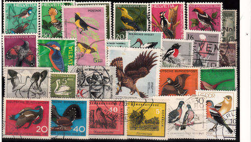 THEMATIC BIRDS MIXED LOT