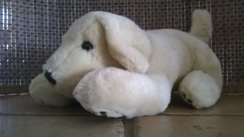 SWEET STUFFED DOG