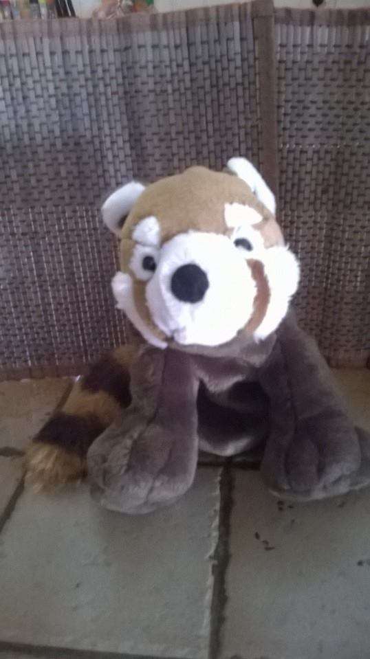 CUTE RACCOON STUFFED TOY