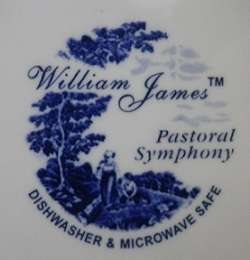 PRETTY & PRACTICAL ATTRACTIVE BLUE & WHITE WILLIAM JAMES TEA POT 'PASTORAL SYMPHONY"