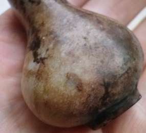 MOST UNUSUAL & INTERESTING VINTAGE ORIENTAL CARVED STONE PERFUME BOTTLE.