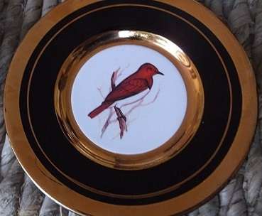 Six beautiful Japanese 24 Carat Gold & enamel on porcelain small bird plates. 10.3 cm