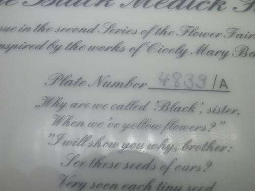 GORGEOUS & WHIMSICAL "The Black Medick Fairy" Display Plate Heinrich Germany Villeroy & Bosch