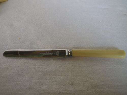Vintage Bone Handled Butter knives. Stainless Steel Blades. James Ryals & Co. Ltd,  SHEFFIELD
