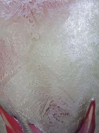 LARGE ART NOUVEAU c1900 CAMEO GLASS VASE  Possibly VAL ST LAMBERT 30cm