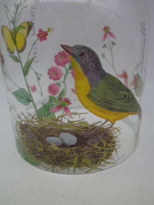 Glass Cloche (dome) with Robin pattern. 19 x 12.5 cm Beautiful!