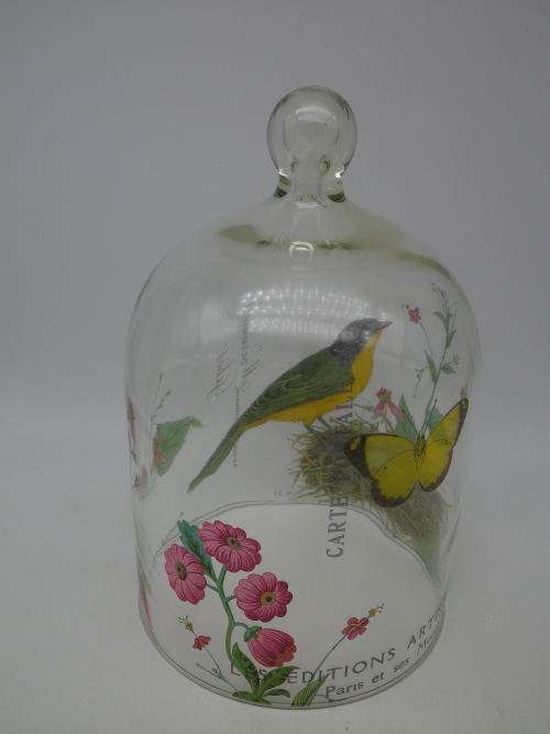 Glass Cloche (dome) with Robin pattern. 19 x 12.5 cm Beautiful!