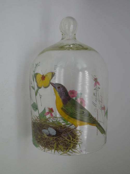 Glass Cloche (dome) with Robin pattern. 19 x 12.5 cm Beautiful!