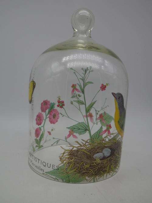 Glass Cloche (dome) with Robin pattern. 19 x 12.5 cm Beautiful!