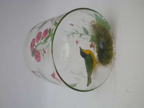 Glass Cloche (dome) with Robin pattern. 19 x 12.5 cm Beautiful!