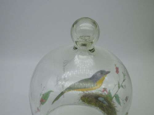 Glass Cloche (dome) with Robin pattern. 19 x 12.5 cm Beautiful!