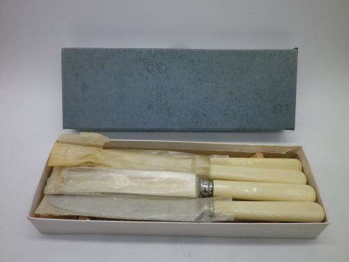 Boxed Vintage Bone handled Knives H Wood, Sheffield England  20.5cm