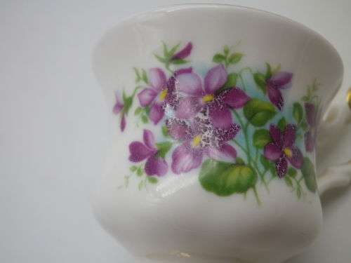 ROYAL ALBERT MINIATURE`VIOLETS` FEBRUARY `FLOWER OF THE MONTH SERIES` DUO