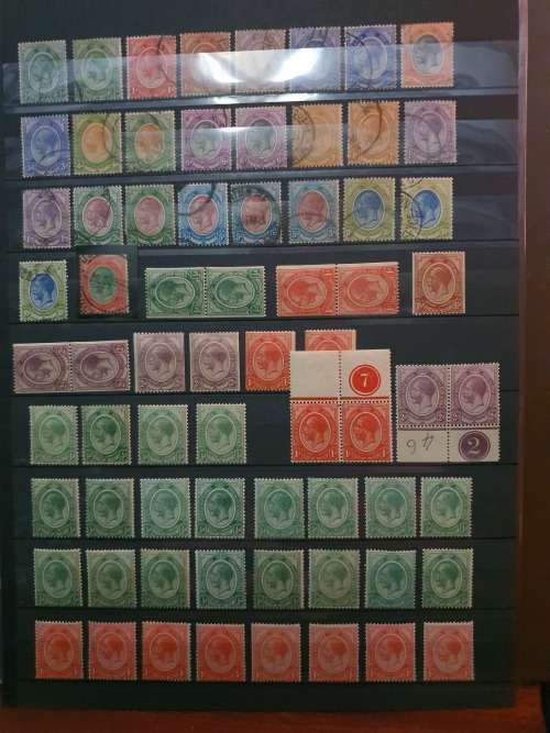 South Afica Kingshead