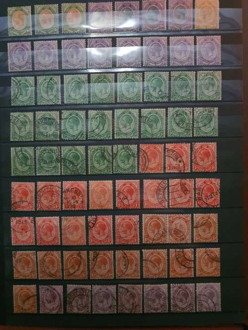 South Afica Kingshead