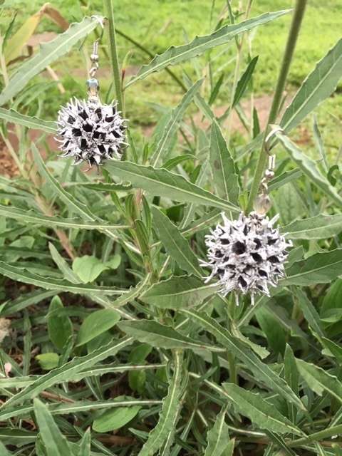 Chrome seed pod spike ball earrings
