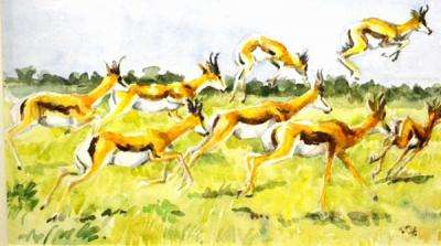 BIG, FRAMED ZAKKIE ELOFF WATERCOLOUR!