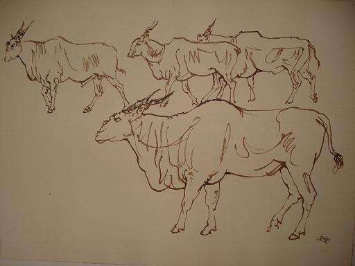 Zakkie Eloff photo-litho give-away - MUST GO!