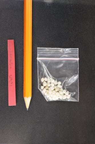 Lachenalia (unknown sp).  1 year old bulbs (5 bulbs)