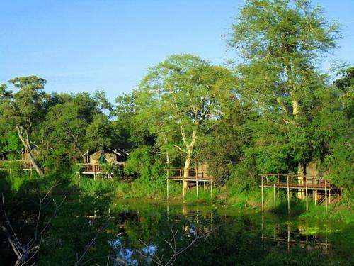 Exclusive wildlife stay at Machampane Camp by SATSA
