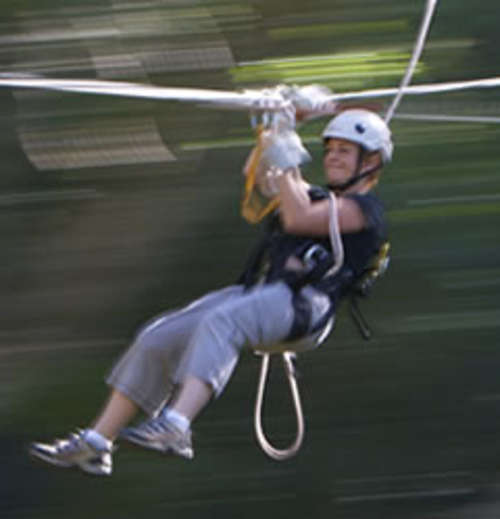 Swing from tree 2 tree in Tsitsikamma by SATSA