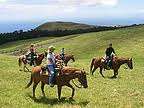 3-night Stay & Horse riding/Abseiling at Golden Gate by SATSA