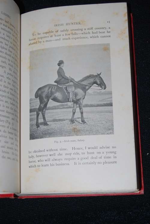 THE HORSEWOMAN A PRACTICAL GUIDE TO SIDE SADDLE RIDING BY MRS HAYES 1903