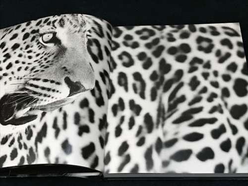 SHADES OF NATURE BY HEINRICH VAN DEN BERG