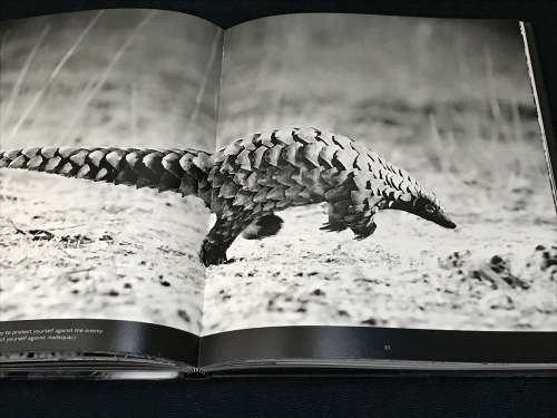 SHADES OF NATURE BY HEINRICH VAN DEN BERG