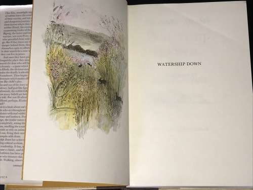 WATERSHIP DOWN BY RICHARD ADAMS - THE ILLUSTRATED EDITION