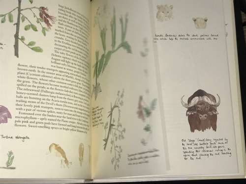 TO EVERYTHING ITS SEASON MALA MALA THE STORY OF A GAME RESERVE BY GILLIAN RATTRAY