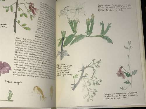 TO EVERYTHING ITS SEASON MALA MALA THE STORY OF A GAME RESERVE BY GILLIAN RATTRAY