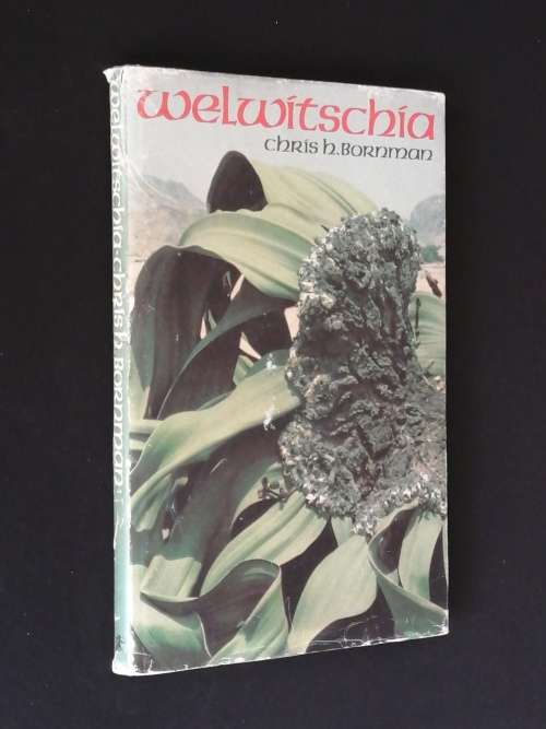 WELWITSCHIA BY CHRIS H. BORNMAN