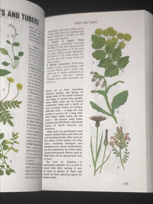 SAS SURVIVAL HANDBOOK - JOHN LOFTY WISEMAN